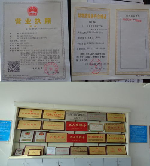 饮食服务集团食品安全检查月启动，全面保障餐饮服务质量